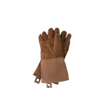 Oven & BBQ Gloves